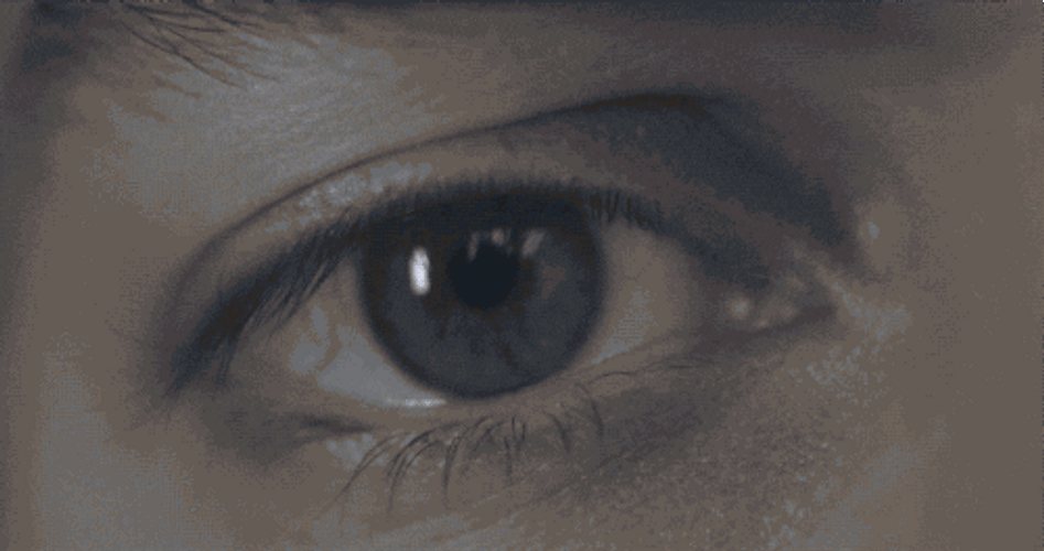 Watching Big Eye GIF