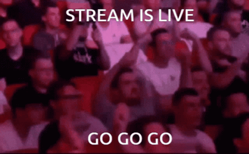 Watching Stream Live Go Go Go Support GIF