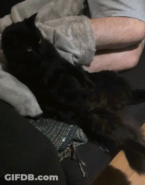 Watching TV While Lying Down GIF