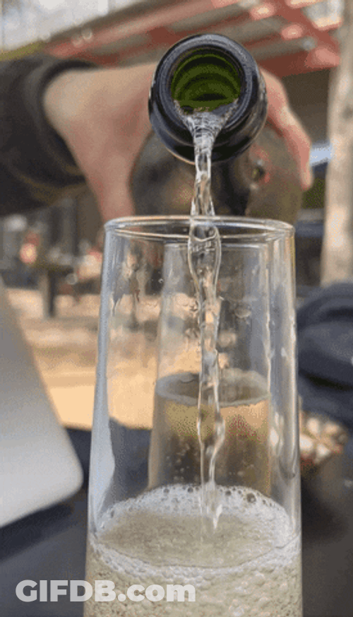 Water Champagne Pouring In Glass GIF