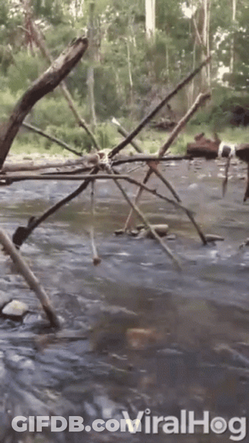 Water Device Spinning Wheel GIF