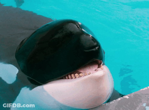 Water Drop Holding Lollipop You're So Sweet GIF