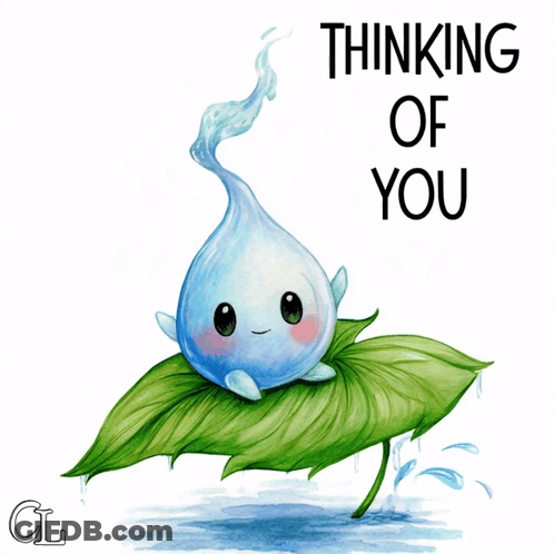Water Drop On Leaf Thinking Of You GIF