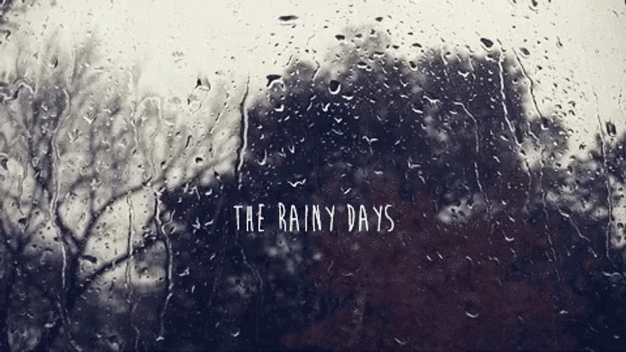 Water Drops In Rainy Monday GIF