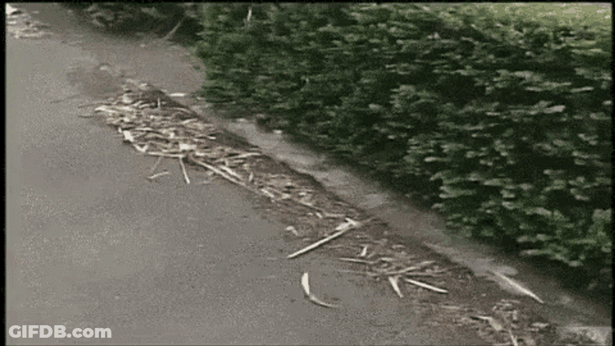 Water Flowing From Ground Earthquake GIF