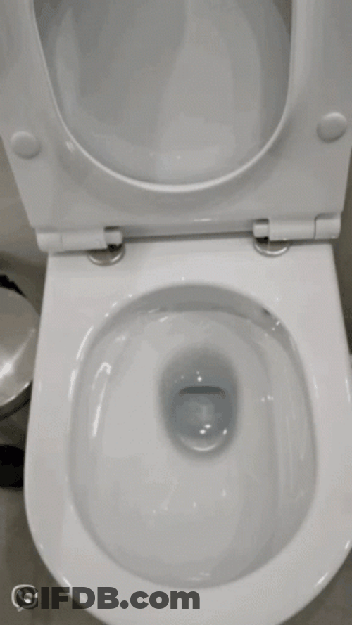 Water Flushing Toilet Bowl Close Up GIF