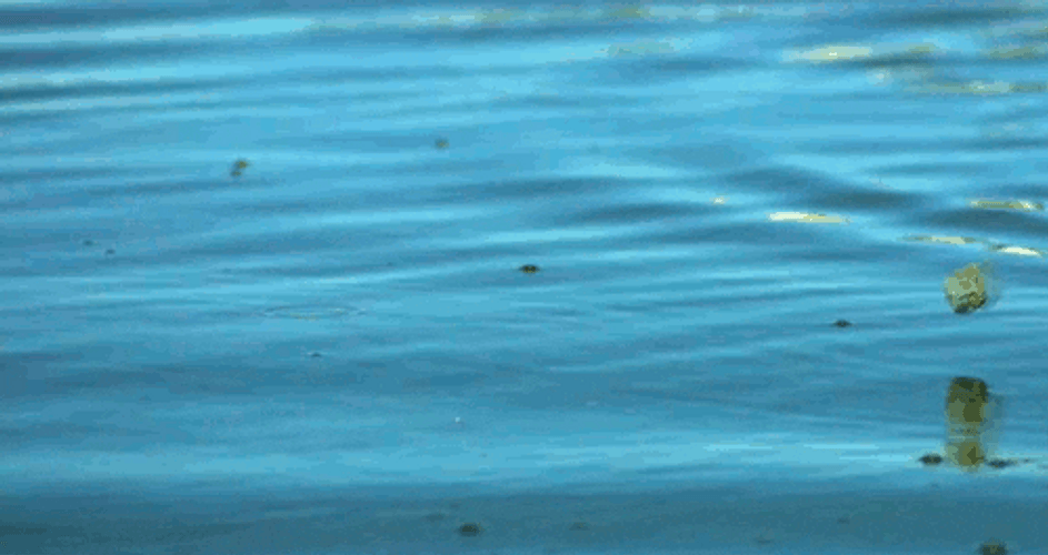 Water Stone Skimming Splash GIF