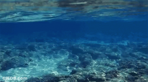 Water Surrounded By Rocks And Corals GIF