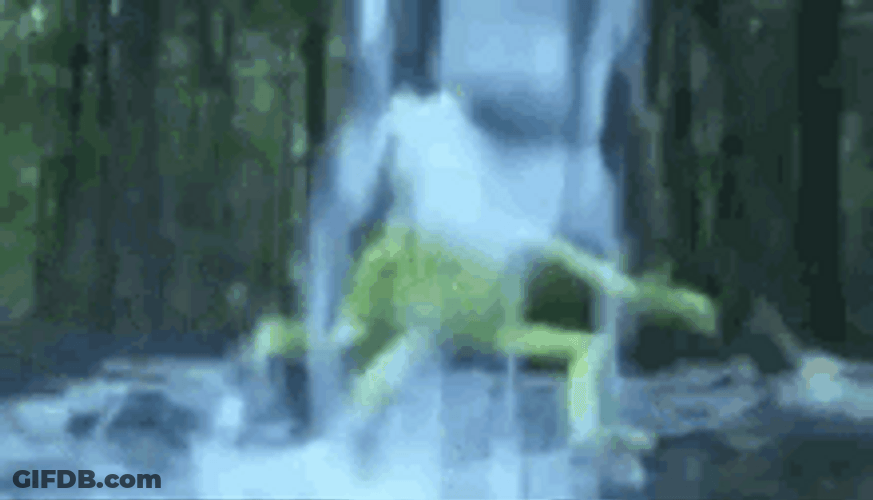 Waterboy Frog GIF