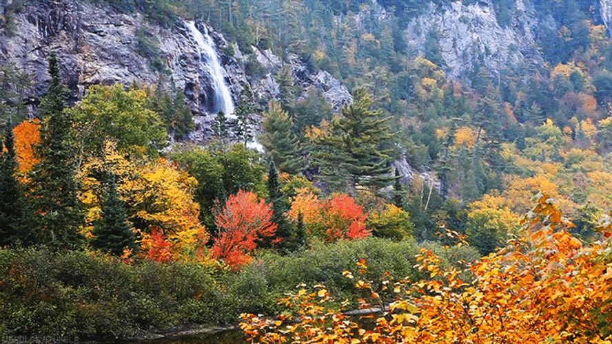 Waterfall Aesthetic Nature Agawa Canyon Autumn Forest GIF
