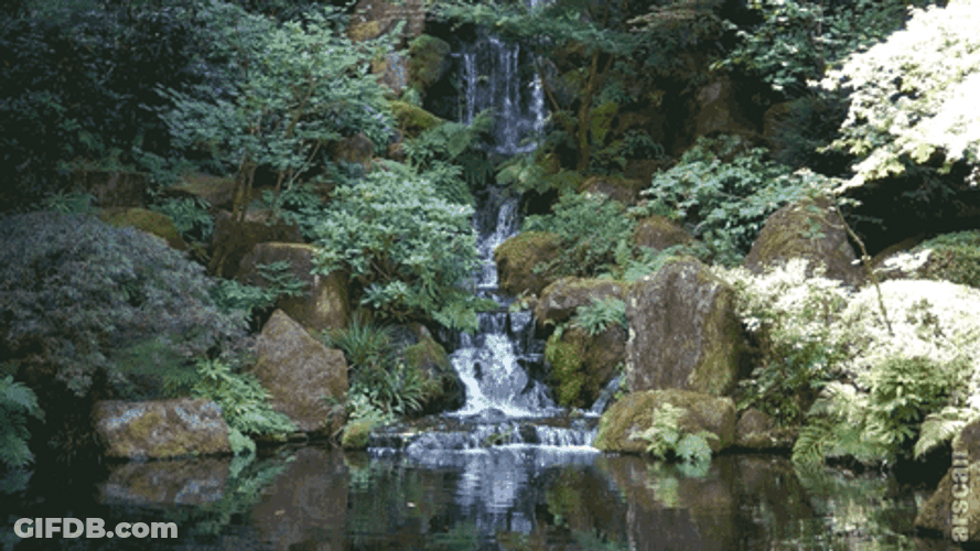 Waterfall Beautiful Landscape Magical View GIF