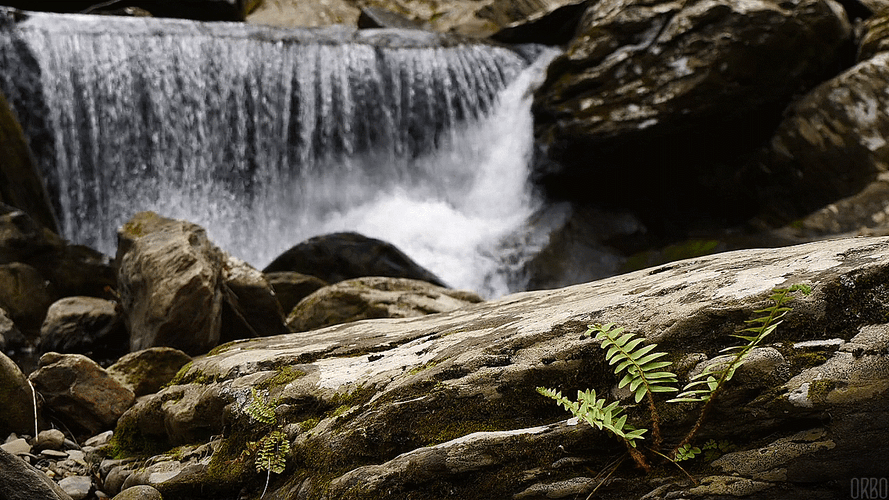 Waterfall Cinemagram Rocks Nature Fresh Water GIF