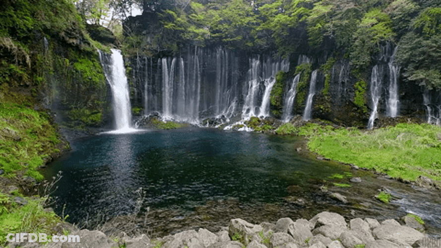 Waterfall Clear Blue Waters Forest Trees GIF