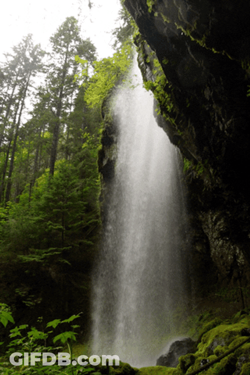 Waterfall Covell Creek Washington Pacific Northwest GIF