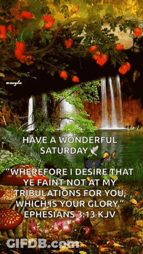 Waterfall Have A Wonderful Saturday GIF