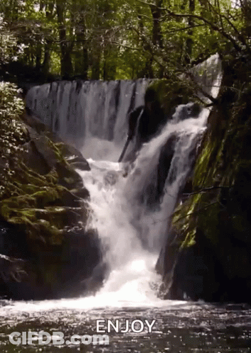 Waterfall In Forest Saying Enjoy GIF