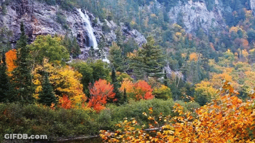 Waterfall In Forest With Changing Colors GIF