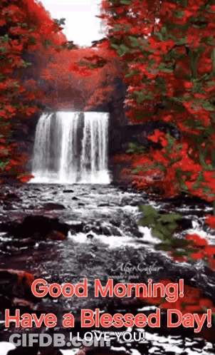 Waterfall In Forest With Red Leaves Good Morning GIF