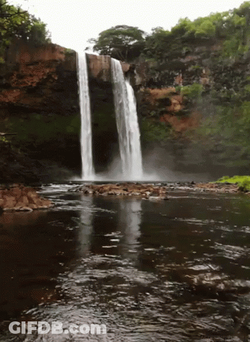 Waterfall In River With Trees GIF
