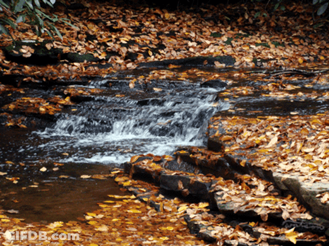 Waterfall Nature Forest Stream Autumn Vibes GIF