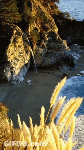 Waterfall On Cliff Overlooking Beach GIF