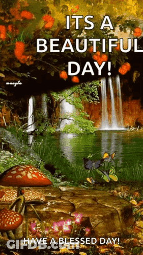 Waterfall Saying It's A Beautiful Day GIF