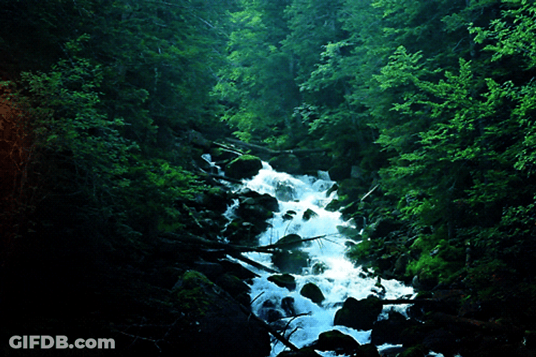 Waterfall Scenic Nature Landscape GIF