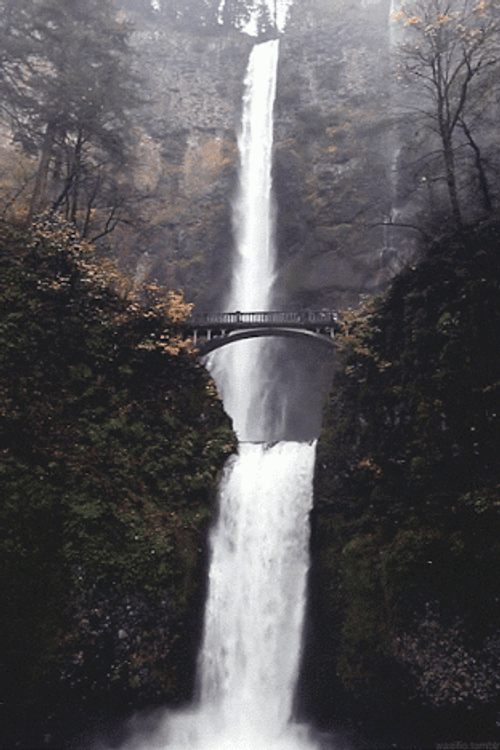 Waterfall Scenic View Bridge Forest Fog GIF