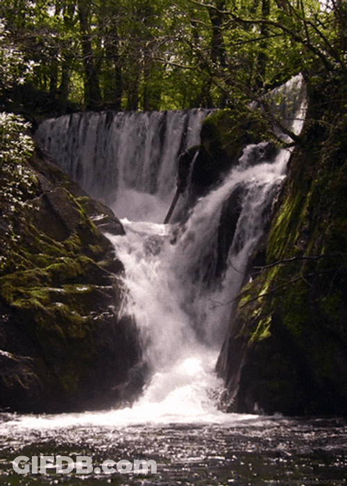 Waterfall Spring Watch Landscape Nature GIF