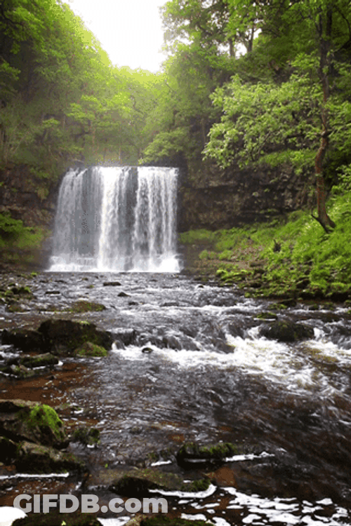 Waterfall Stream Fresh Forest Nature GIF