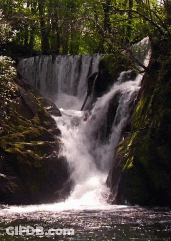 Waterfall Surrounded By Mossy Rocks And Trees GIF