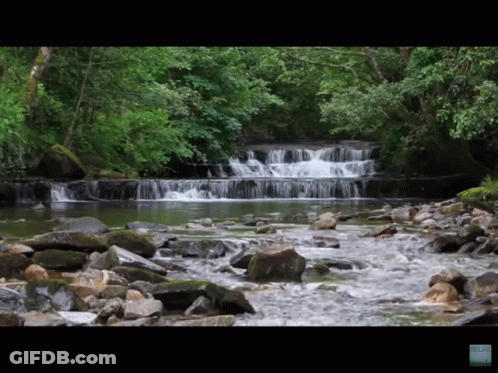 Waterfall Surrounded By Rocks And Trees In Forest GIF