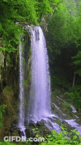 Waterfall Surrounded By Trees And Rocks By Akela13 GIF
