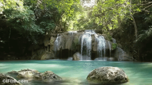 Waterfall Surrounded By Trees And Rocks In Lush Forest GIF