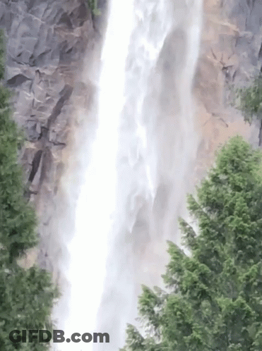 Waterfall Surrounded By Trees And Rocks GIF