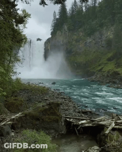Waterfall Surrounded By Trees And Rocks GIF
