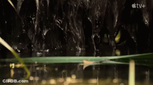 Waterfall With Apple TV+ Logo GIF