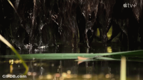 Waterfall With Apple TV Logo GIF