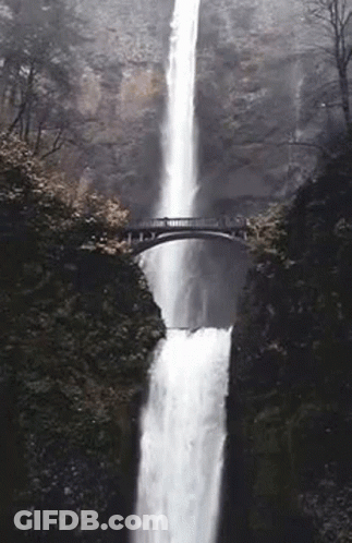 Waterfall With Bridge In Forest GIF