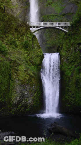 Waterfall With Bridge GIF