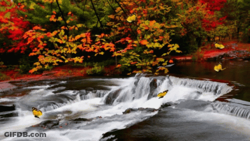 Waterfall With Butterflies Painting GIF