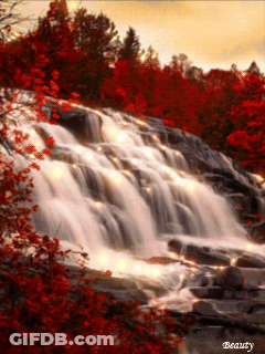 Waterfall With Red Leaves And Beauty GIF