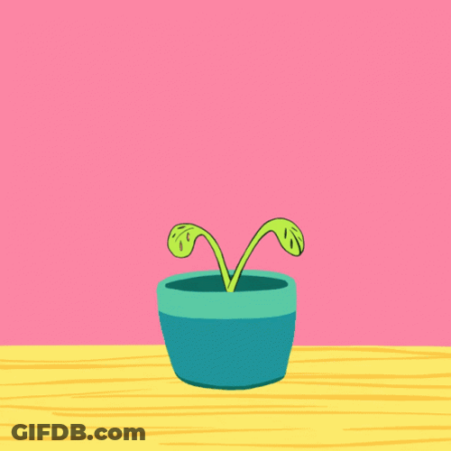 Watering Plants Growth GIF