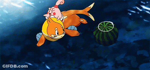 Watermelon Being Thrown Into Water GIF