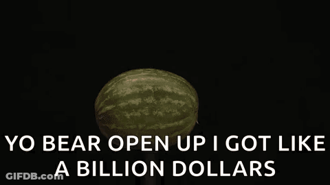 Watermelon Exploding Saying Yo Bear Open Up I Got Like A Billion Dollars GIF