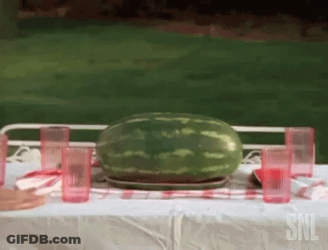 Watermelon Sitting On Picnic Table With Glasses GIF