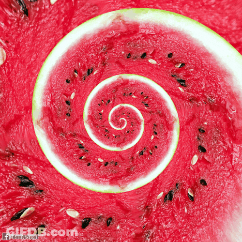 Watermelon Spiral Loop GIF