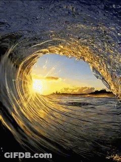 Wave Breaking On Beach With Sun Shining Through GIF