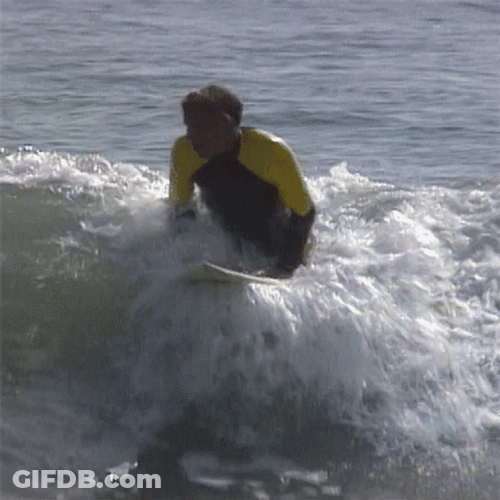 Wave Surfing Man Back Up GIF