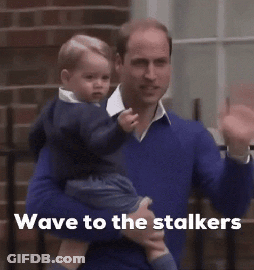 Wave To The Stalkers Funny GIF